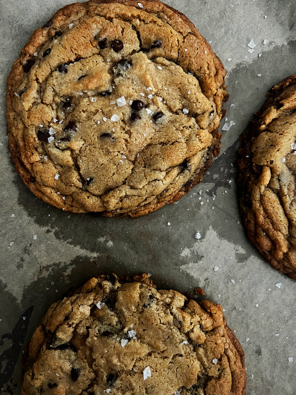 Brown Butter Chocolate Chip Cookie